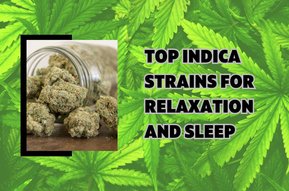 Top Indica Strains for Relaxation