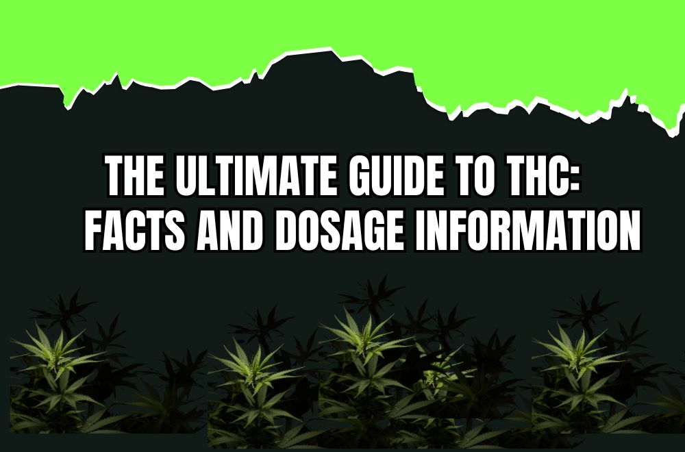 The Ultimate Guide to THC