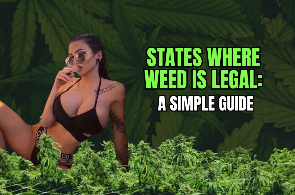 States Where Weed is Legal