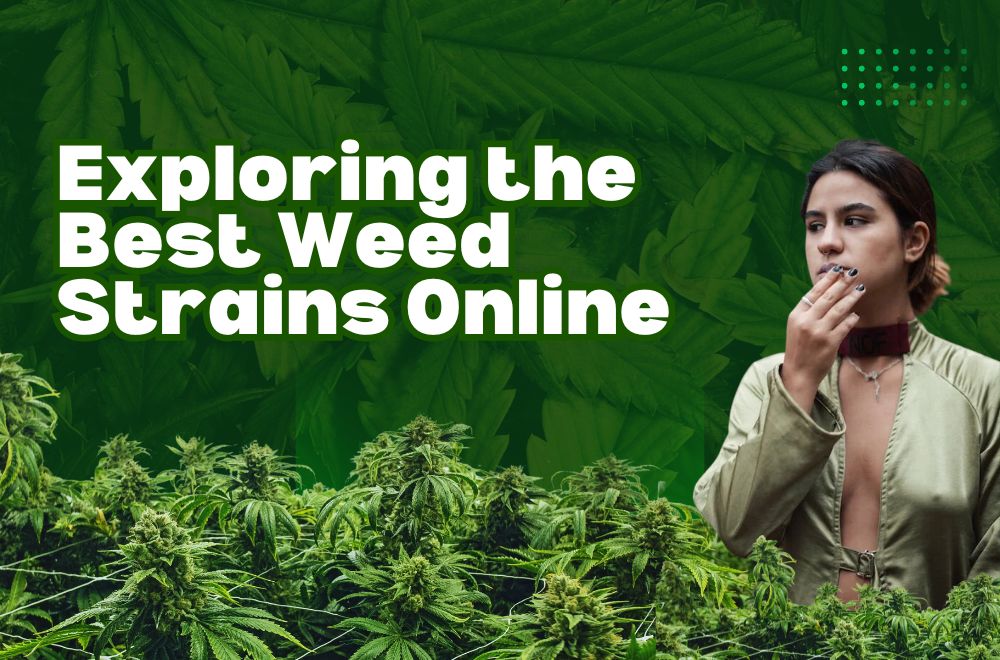 Exploring the Best Weed Strains