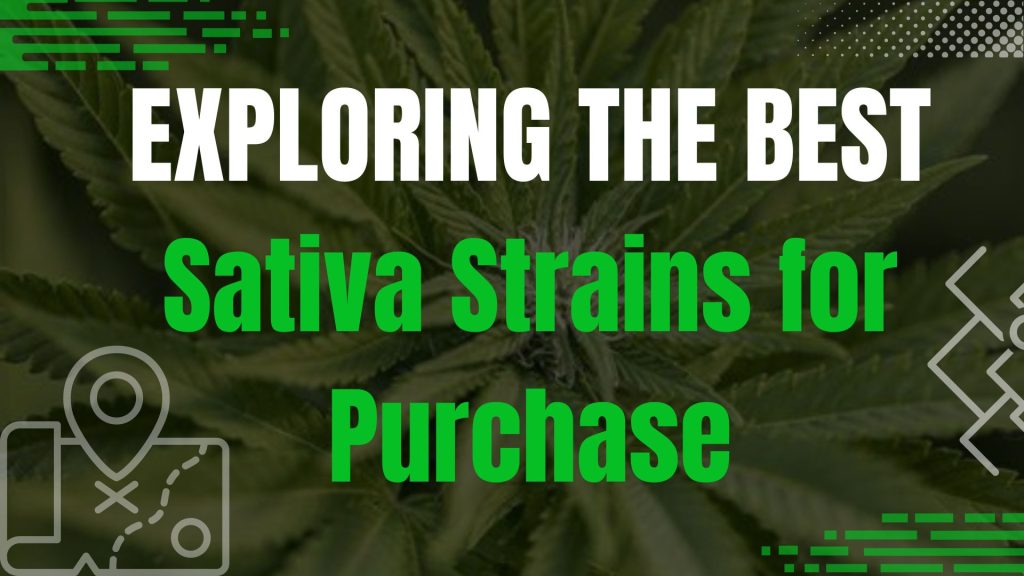 Exploring the Best Sativa Strains for Purchase