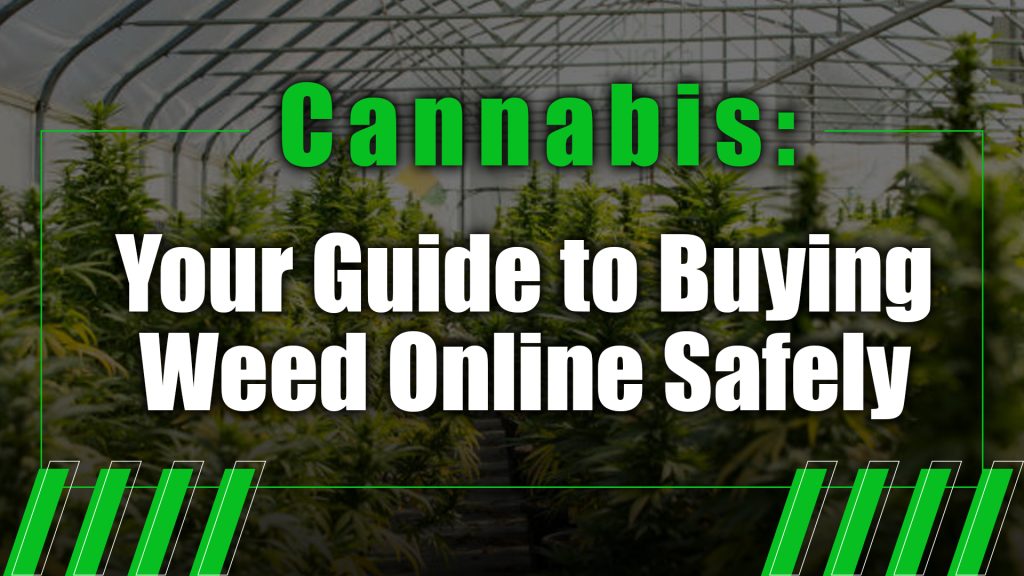 Cannabis Your Guide to Buying Weed Online Safely