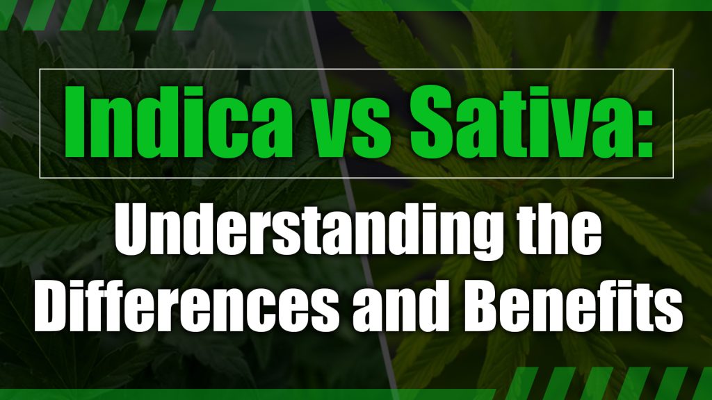 Indica vs Sativa: Understanding the Differences and Benefits