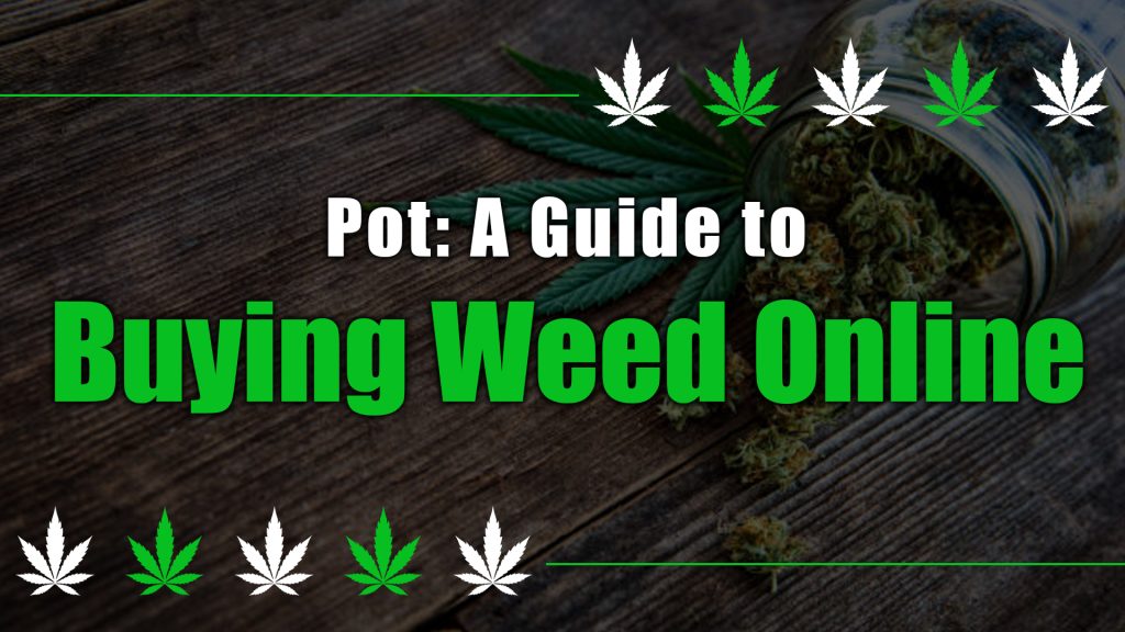 Pot: A Guide to Buying Weed Online