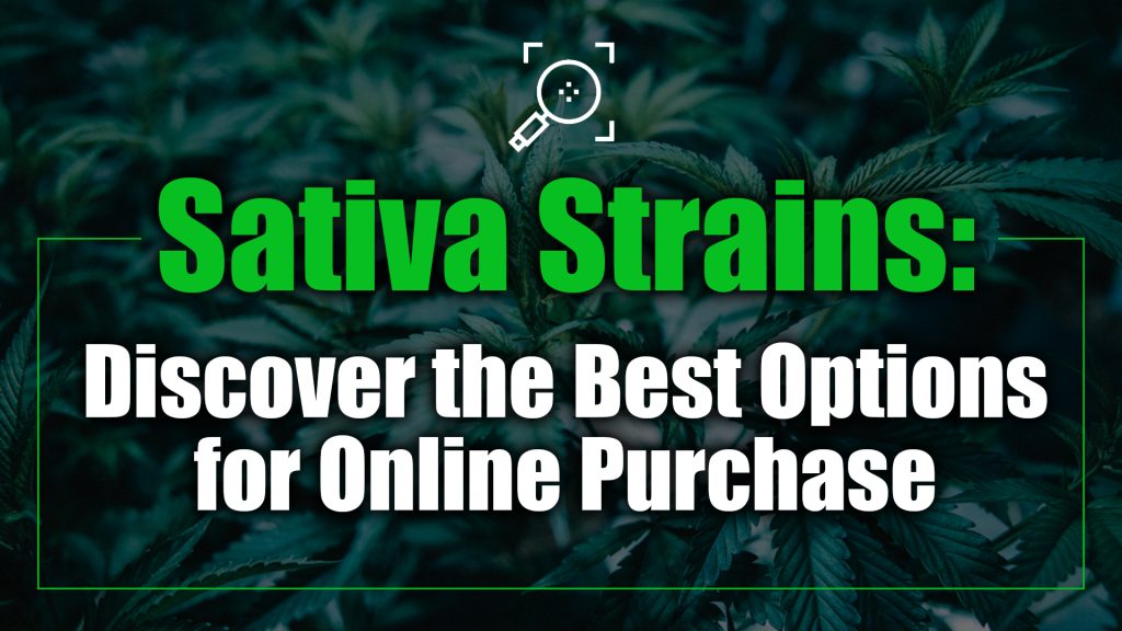 Sativa Strains Discover the Best Options for Online Purchase