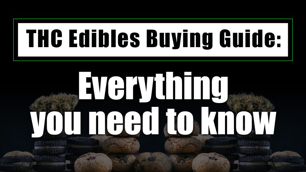 THC Edibles Buying Guide: Everything you need to know