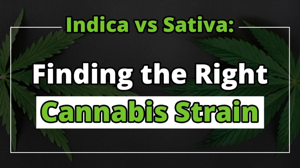 Indica vs Sativa: Finding the Right Cannabis Strain