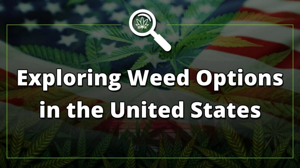 Exploring Weed Options in the United States