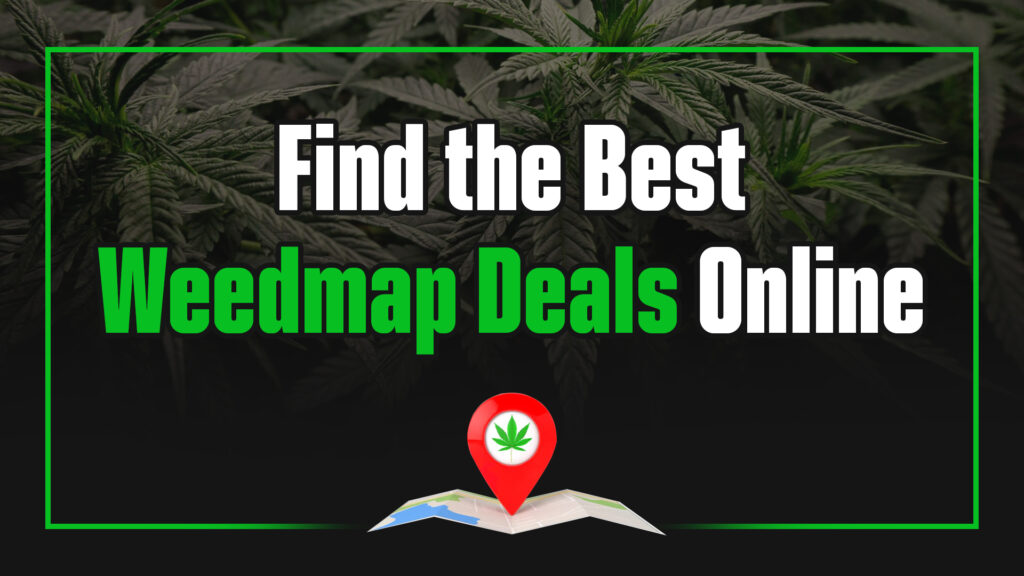 Find the Best Weedmap Deals Online