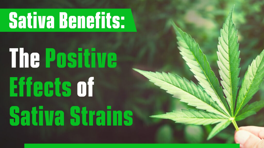 Sativa Benefits: The Positive Effects of Sativa Strains