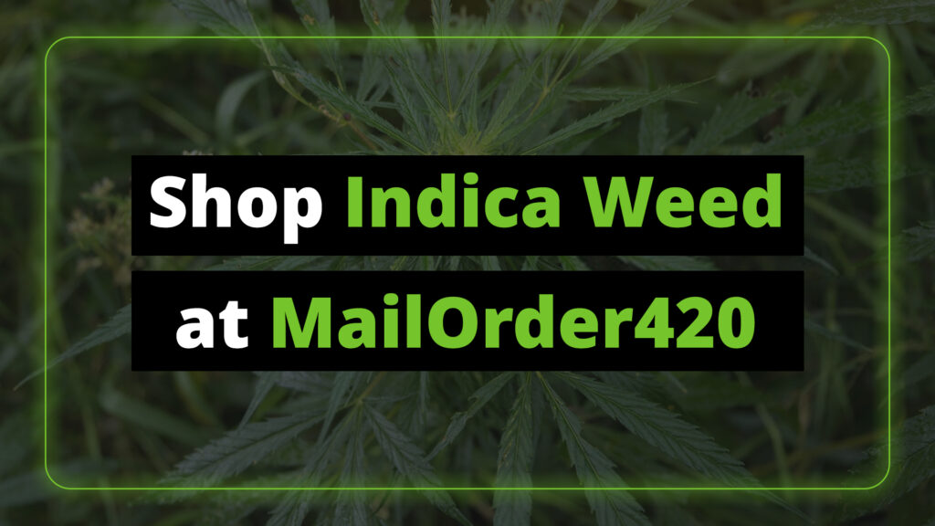 Shop Indica Weed at MailOrder420