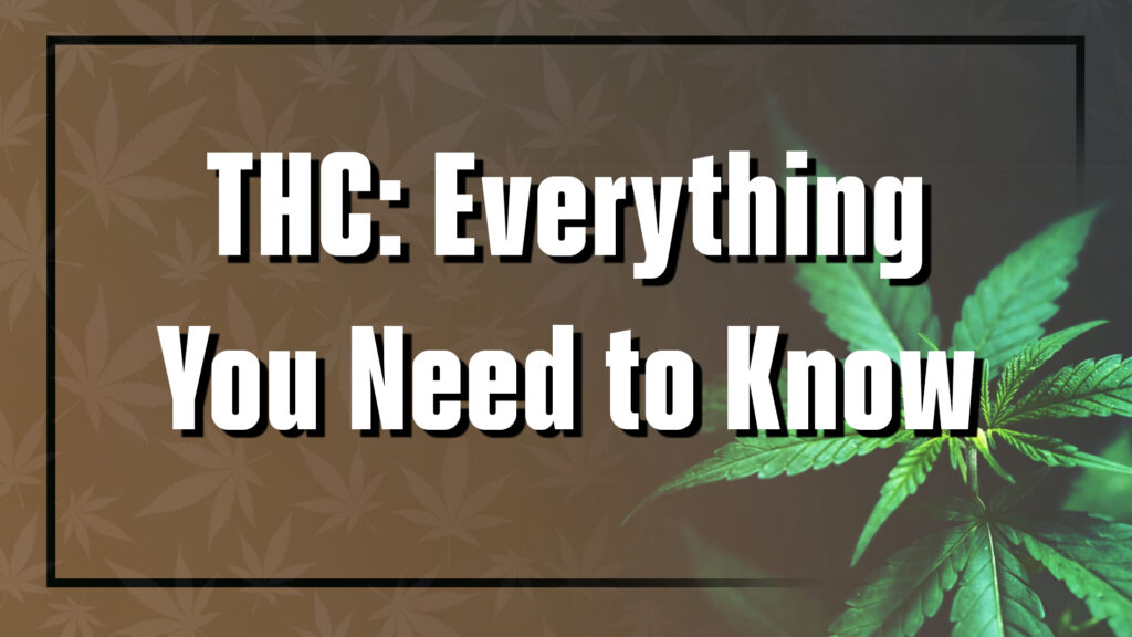 THC: Everything You Need to Know
