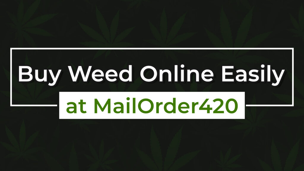 Buy Weed Online Easily at MailOrder420