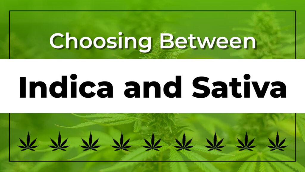 Choosing Between Indica and Sativa