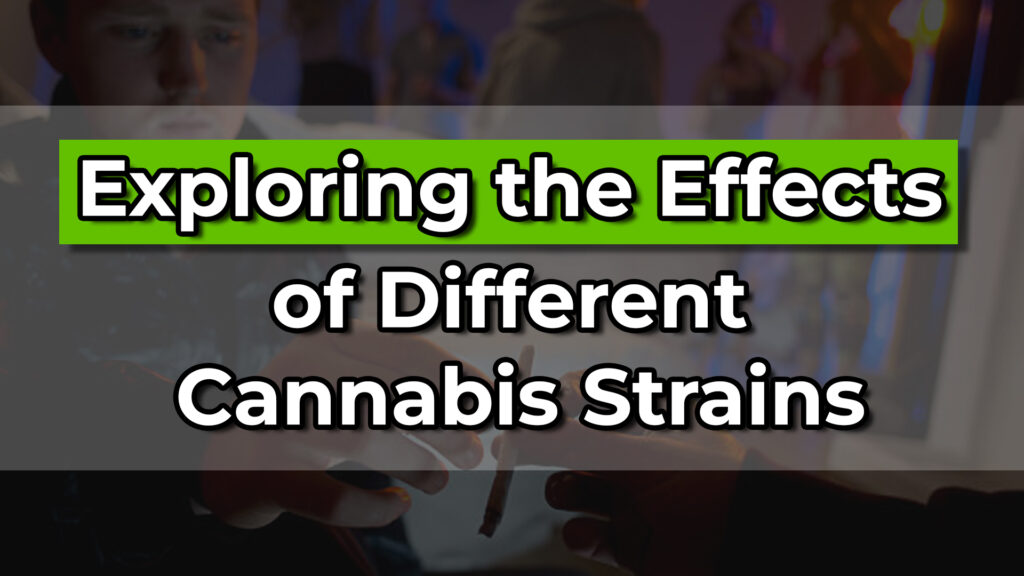 Exploring the Effects of Different Cannabis Strains