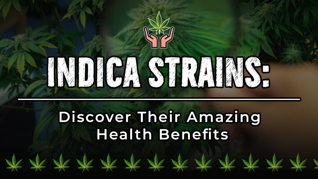 Indica Strains Discover Their Amazing Health Benefits